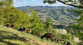 BeB La Bergera - Image 5