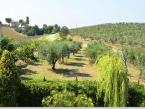 Villa in Italy with Private Pool  Terrace - Image 3