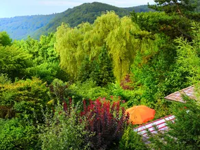 Vintage chalet in a very beautiful landscape - Image 3