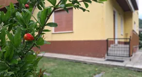 Ai quattro nidi - Casa vacanze - Image 4