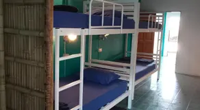 TIKI HOSTEL - Image 2