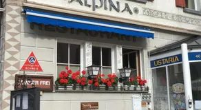 Hotel Alpina  - Image 3