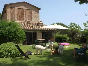 Maridiana Alpaca Country House - Image 5