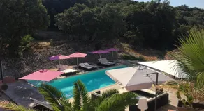 Au Gre Du Sud - Image 3