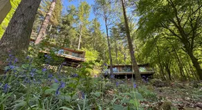Forest Lodges - Image 5