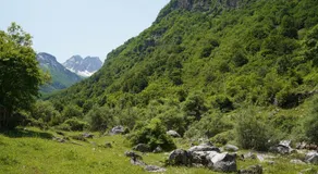 Motina River Guesthouse - Image 5