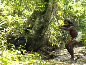 Explorer by Eco Team - Dambana - Image 3