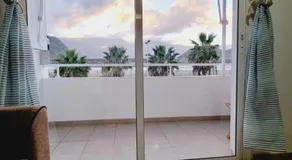 Sal Marina - Image 5