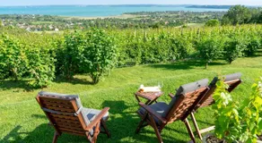 Studio in Siofok - Balaton 42695 - Image 4
