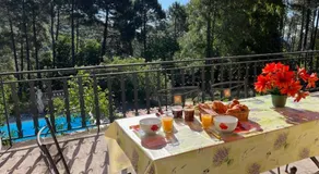 Le Chant des Pins en Cévennes - Image 4