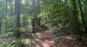 Wald & Wind Natur trifft Moderne - Image 2