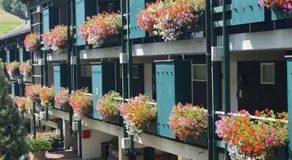 Terrassenpark Apartments (Premium Rooms) - Image 3