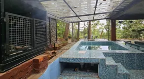 Wild root stay- Orchid Chalet - Image 4