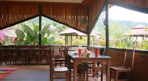 Orau Asthana - Image 2
