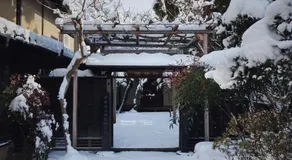 Shirafuji - Image 5