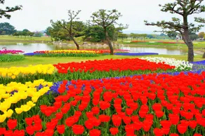 Long Vacation Resort - Image 5