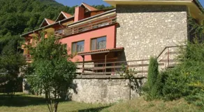 Forest Spring - Image 4