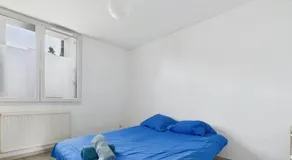 le blue - T3 à Nantes - Comme à la maison - Image 5