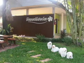 Wangnong Resort - Image 5