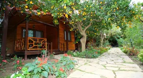 Bahçe Villa - Image 5