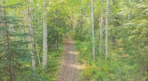 The Skarland Trail Cabin - Image 2