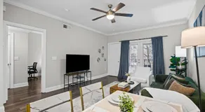 Two Luxury Private Condos Booked Together - Sleeps 8 Guests - Image 3
