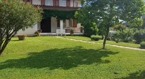 Paradiso in vigna - Image 3