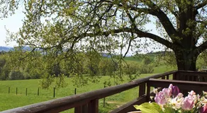 Hotel Berghof Lichtenhain - Image 4