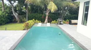 Tropical Oasis - Image 5