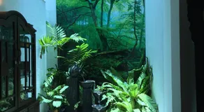 Mirewon Guest - Image 5