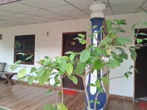 Nature Lodge - Image 2