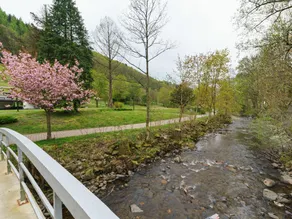 Bed & Breakfast Apartment in Herzberg am Harz - Image 5