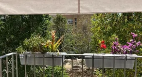 apartamento 4 - Image 5