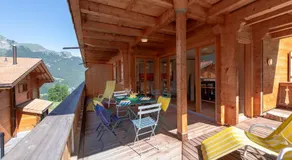Panoramapark Soleil Chalet F Apt. \"Silbermond\" - Image 5
