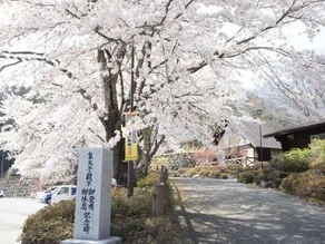 Mitsutoge no Yado - Vacation STAY 14305 - Image 5