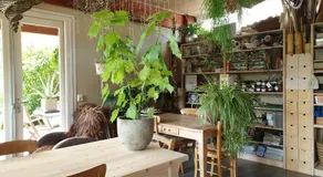 Appartementen Het Oude Atelier - Image 5