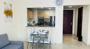 Newly furnished cozy ONE bed room Apartment 2 bathroom city view - Image 5