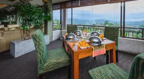 Kandy The Tourmaline - Image 5