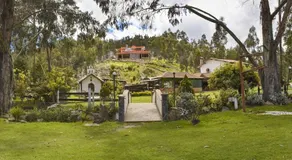 Mushroom Forest - Image 5