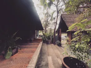 BREATHE - Rice Valley - Image 5