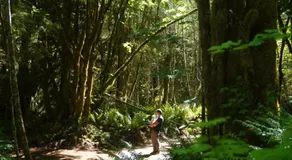 Starlight Olympic Glamping - Image 2