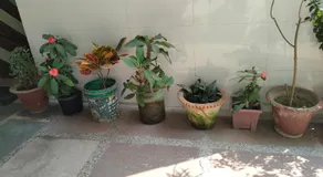 Sachin Yadav Homestay - Image 4