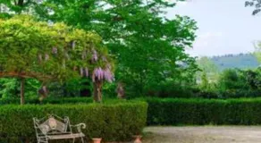 Villa Il Rossignolo con Piscina - Image 2