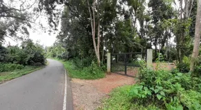 Rustic Campsite Kalutara South - Image 5