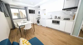 Sydney strathfield brand new studio - Image 3