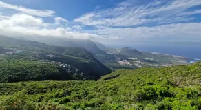 Los viñedos - Image 3