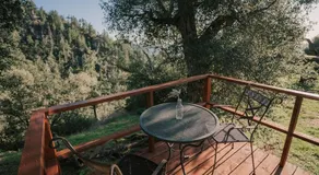 Tiny Home Above the Clouds Pacific Views - Image 3