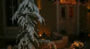 Room in Faneromeni's grove - Image 3