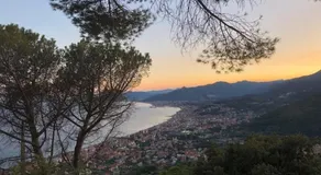 Cà Suma - Image 5
