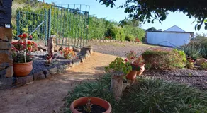 El Limonero - Image 5